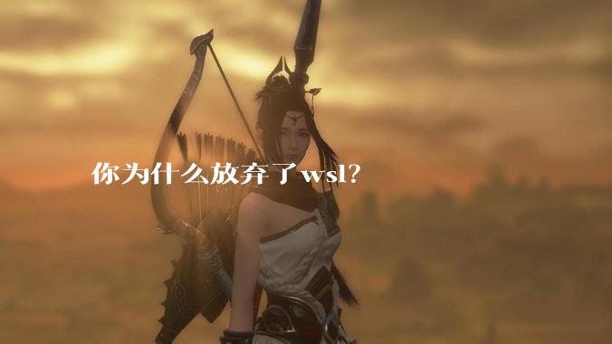 你为什么放弃了wsl?